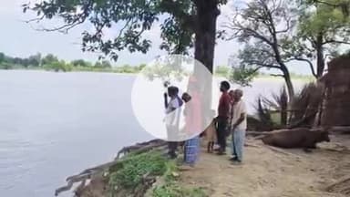 सिराथू: गंगा का जलस्तर बढ़ने से शहजादपुर, तरसौरा समेत कई गांवों की सैकड़ों बीघा फसल हुई बर्बाद