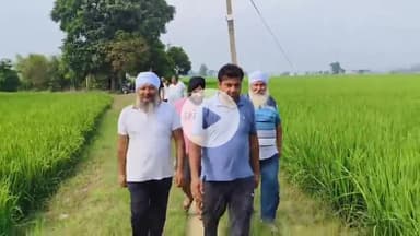 थानेसर: गांव केन्थला और मिर्जापुर में ग्रामीणों को दिखा जंगली जानवर, शेर के बच्चे होने का किया दावा