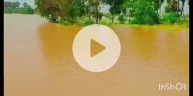 फतुहा: फतुहा प्रखंड में बरसाती नदियों का जलस्तर घटा, बघार व गांव में पानी अब भी भरा