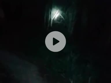 नौगावां सादात: नौगांवा थाना क्षेत्र में तेंदुए की दहशत बरकरार, ग्रामीण परेशान