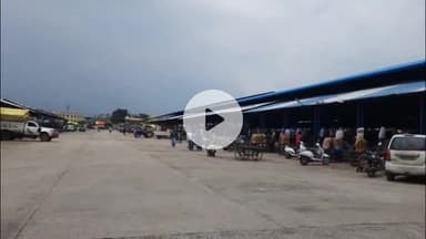 जावरा: जावरा मंडी में आज गेहूं ₹3031, चना ₹5661, खसखस ₹149000 प्रति क्विंटल बिका