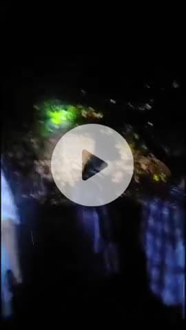 कलेसर से आगे लाल डांग के पास एक कैंटर पर अचानक गिरा पेड़