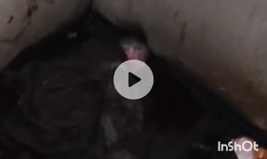 गुना: म्याना: पुलिया के टॉयलेट में मिला नवजात शिशु, अस्पताल में उपचार के दौरान हुई मौत