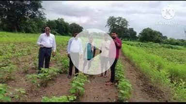 समुद्रपूर: शेतकऱ्यांना पिकांची ई-पिक पाहणी तातडीने करुन घेण्याचे तहसीलदार कपिल हाटकर यांचे आवाहन:१५ सप्टेंबरपर्यंत ईपिक नोंद मुदत