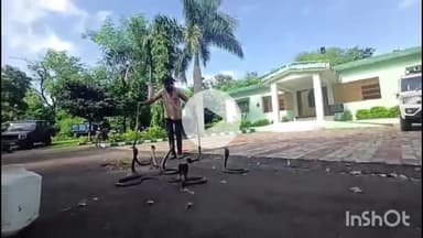 सिरोंज: सर्प मित्र परवेज ने क्षेत्र के अलग-अलग स्थानों से जहरीले सांपों का किया रेस्क्यू, सुरक्षित जंगल में छोड़े