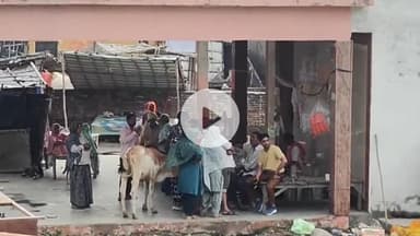 धनौरा: मुंडन संस्कार के दौरान तिगरी गंगा में डूबे तीन सगे भाई, 36 घंटे बाद भी नहीं लगा पता, गोताखोर कर रहे तलाश