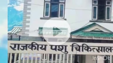 टापरी: किल्बा के पशु चिकित्सालय के पुराने भवन की सामग्री की नीलामी 3 सितम्बर को की जाएगी