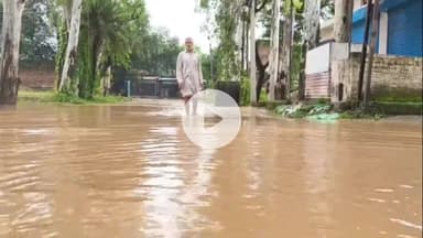 जगाधरी: यमुनानगर: बरसात से सोम नदी में उफान, कई गांवों में घुसा पानी, किसानों की फसलें बहीं