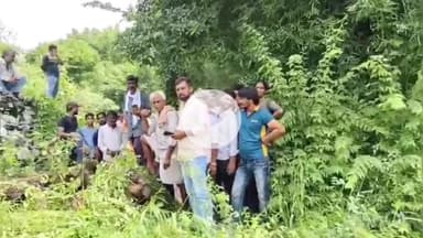 राजसमंद: राजसमंद जिले के मोखमपूरा में 10 फुट लंबे अजगर ने लोमड़ी को निगला, वन विभाग की टीम ने किया रेस्क्यू