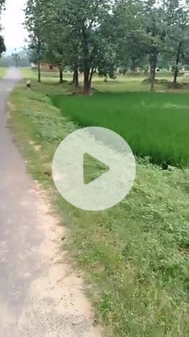 मंत्रालय श्रवण श्ररसससृऋष्षृषश्रषृस्।।ऋसस।सृ।।,

।,
,
,फफृ।ब।फफ्धफधठ