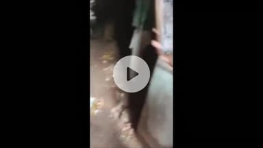 इंदौर: सदर बाजार क्षेत्र में 80 वर्षीय बुजुर्ग का शव कुत्तों ने खाया, अज्ञात कारणों से हुई थी मौत