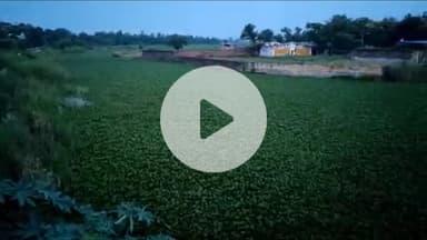 बलरामपुर: सुआंव नाले पर राष्ट्रीय हरित प्राधिकरण (NGT) की कार्रवाई से मचा हड़कंप, सदर विधायक पल्टूराम ने मुख्यमंत्री को लिखा पत्र