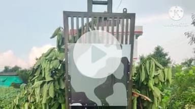 हिंगणघाट: शिवणी शिवारात १५ दिवसांपासून बिबट्याचा धुमाकूळ; शेतातील बंड्यावरील कुत्र्याला केले ठार, शेतकऱ्यांमध्ये भितीचे वातावरण