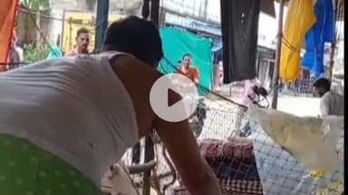 कोटा: बेलगहना आशा साड़ी सेंटर में घुसा विषैला सांप, संचालक ने सफलतापूर्वक किया रेस्क्यू