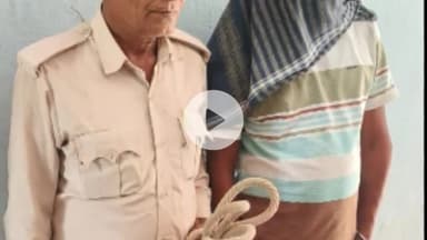 गया टाउन सीडी ब्लॉक: गया: SSP आनंद कुमार के निर्देश पर विभिन्न थाना क्षेत्रों से 5 वारंटी और 14 अन्य लोग गिरफ्तार