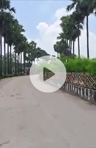 टीकमगढ़: टीकमगढ़ के ढोंगा मैदान में राजशाही काल की तरह फिर से लगेंगे 500 ताड़ के पौधे