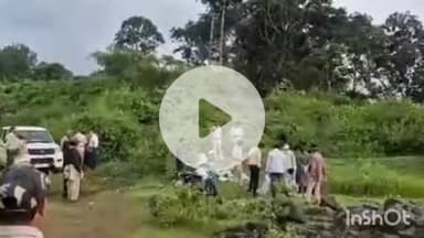 पुष्पराजगढ़: फर्रीसेमर में मिला तेंदुए का शव