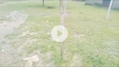 सिंगरौली: तेलाई में पट्टेदार की सहमति के बिना प्लाट पर सड़क बनवाई, भूमिस्वामी दर-दर की ठोकर खाने को मजबूर