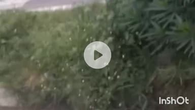 बरेली: इज्जत नगर थाना क्षेत्र के नैनीताल हाइवे पर तेज रफ्तार कार ने बाइक को मारी टक्कर, एक व्यक्ति हुआ घायल