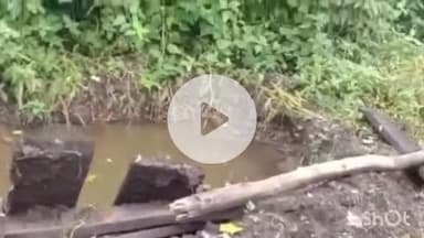 ताल: बाजना में चार माह पहले दफन व्यक्ति की कब्र खोदी, अवशेष निकालने की आशंका