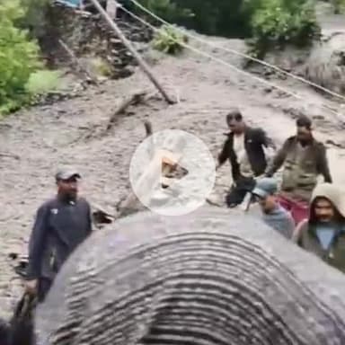 मोरंग: किन्नौर के लिप्पा नाले में बादल फटने से सेब बगीचे तबाह, लोगों में खौफ, नाले में अभी भी बादल फटने की आवाजें आ रही हैं