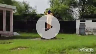 शासकीय प्राथमिक विद्यालय चीनौर में रातों-रात स्थापित हुई भीमराव अंबेडकर की प्रतिमा