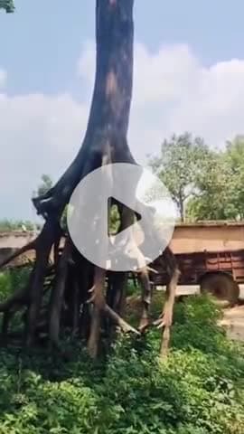 पूरनपुर: राहुल नगर में हादसे की आशंका पर समाजसेवी ने जताई चिंता