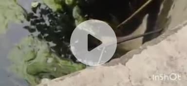 गढ़वा: गढ़वा थाना क्षेत्र के तिलदाग गांव में पुलिस ने कुएं से युवक का शव बरामद किया