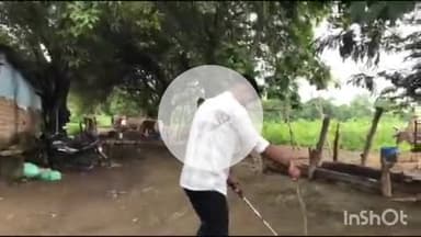 समुद्रपूर: गिरड येथे शेतातील बंड्यात कोंबड्या ठार करून दहशत निर्माण करणाऱ्या नागाला सर्पमित्रांने केला जेरबंद