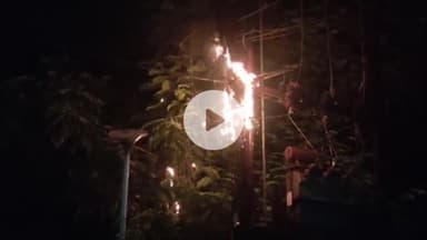 इंदौर: पलासिया क्षेत्र में शॉर्ट सर्किट से डीपी में आग लगी, कोई जनहानि नहीं