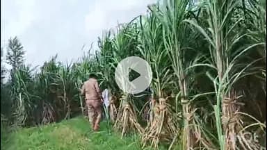 मुज़फ्फरनगर: चरथावल क्षेत्र में 2 गांव के खेतों में चोरी की घटना से मची सनसनी, किसान नेता ने चोरों को लंगड़े ऑपरेशन में शामिल करने की कही बात