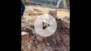 हरिद्वार: जगजीतपुर स्थित संता एनक्लेव कॉलोनी में विशालकाय मगरमच्छ घुसने से दहशत, वन विभाग की टीम ने किया रेस्क्यू