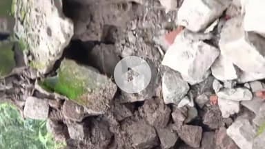 बद्दी: भारी बारिश ने गरीब परिवार का आशियाना उजाड़ा, कमला देवी और उनके बेटे की मदद के लिए गुहार