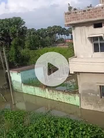 Bhagalpur 
sabour 
farka⚜️🙏🙏🙏🤳