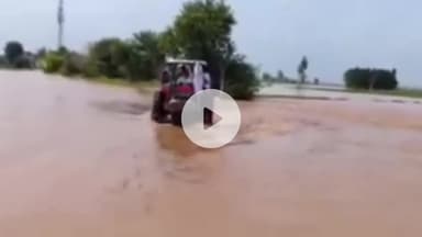 थानेसर: शाहाबाद में मारकंडा नदी में उफान, 5 हजार एकड़ फसल तबाह, कठवा समेत कई गांव जलमग्न