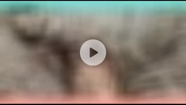 नबीनगर: सिमरी धमनी के पास नदी में डूबे 65 वर्षीय वृद्ध का 23वां दिन कंकाल बरामद