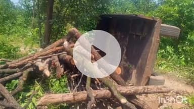 चौपारण: भगहर में वन कर्मियों ने कार्रवाई कर  ट्रैक्टर पर  लदा कीमती लकड़ी किया जप्त पहचान कर कार्रवाई की प्रक्रिया हुई तेज