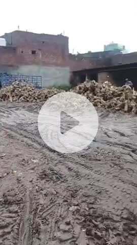 जगाधरी: गंगानगर कॉलोनी में मंदिर न जा पाने से कॉलोनीवासी परेशान