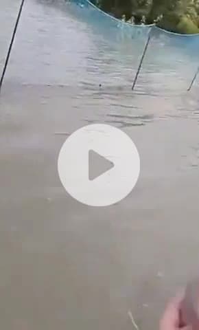 జడ్చర్ల: నవాబుపేట మండలం చౌడూరు పెద్ద చెరువుకు జలకళ... గ్రామస్తులు పూజలు