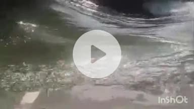 हसनपुर: हसनपुर में यमुना नदी खतरे के निशान से ऊपर, बाढ़ का खतरा