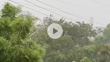 बरेली: बरेली में गरज और चमक के साथ बारिश, यलो अलर्ट जारी