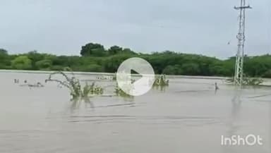 रोहट: रोहट के जैतपुर के कुलथाना नदी के तेज उफान के चलते रपटों पर पानी आने से सुरक्षा की दृष्टि से पुलिस ने रोका आवागमन