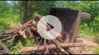 चौपारण: भागहर जंगल में लकड़ी से लदा ट्रैक्टर पलटा, तस्कर इंजन लेकर भागे