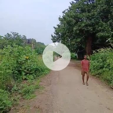 पिरो प्रखंड के बसडीहा का यह तस्वीर  है इसी जमीन मे भवन का निर्माण करना है पिरो co बिना स्थल पर आए ही कह दिए की रास्ता का