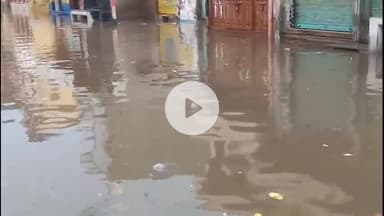 सरदारशहर: सरदारशहर में झमाझम बारिश से खेतों में खड़ी फसलों को मिली जान, निचले इलाकों में पानी भराव से लोगों को हुई परेशानी