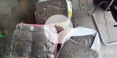 फतुहा: नदी थाना पुलिस ने पक्की दरगाह के एक घर से 65 किलो गांजा बरामद किया