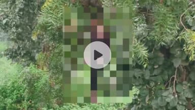 सिंगरौली: बसौड़ा: बभनी पहाड़ी के पास नीम के पेड़ से लटका मिला युवक का शव, पुलिस जांच में जुटी