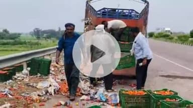 सिराथू: सैनी इलाके में ओवरटेकिंग के चक्कर में हाईवे पर पलटी टमाटर से भरी पिकअप, बाल-बाल बचे व्यापारी