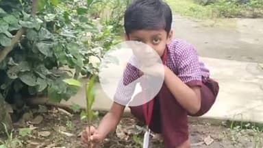 गुमला: हरित विद्यालय, हरित गुमला” : झारखंड में गुमला जिला बना अव्वल, अब तक एक लाख पंद्रह हजार पौधारोपण*