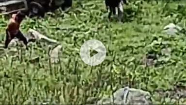 भटवाड़ी: डबरानी-सोनगाड के बीच गंगोत्री हाईवे पर हुए वाहन हादसे में एक व्यक्ति की मौत, एक घायल